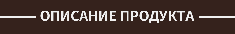_17431417866979
